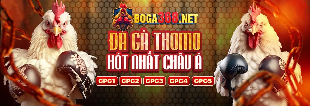 Giao diện ứng dụng Vaobong88 trên điện thoại